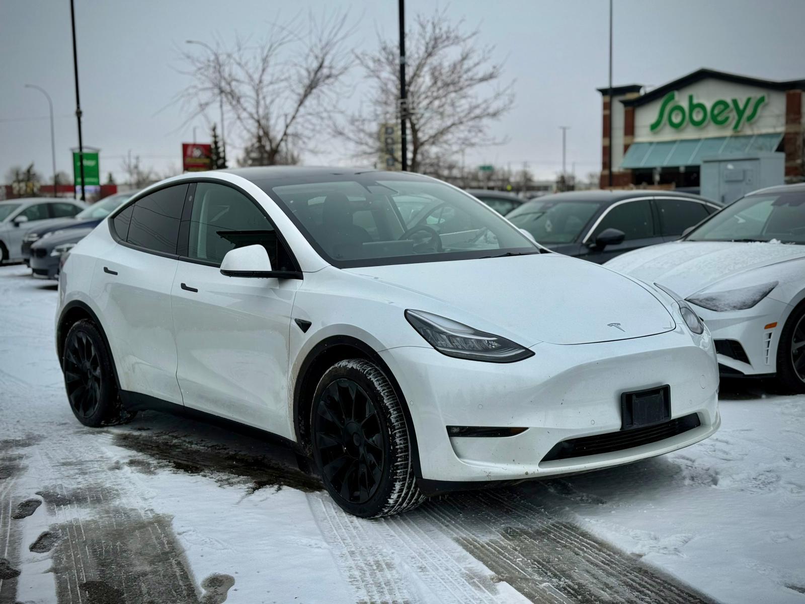 2021 Tesla Model Y — view 3