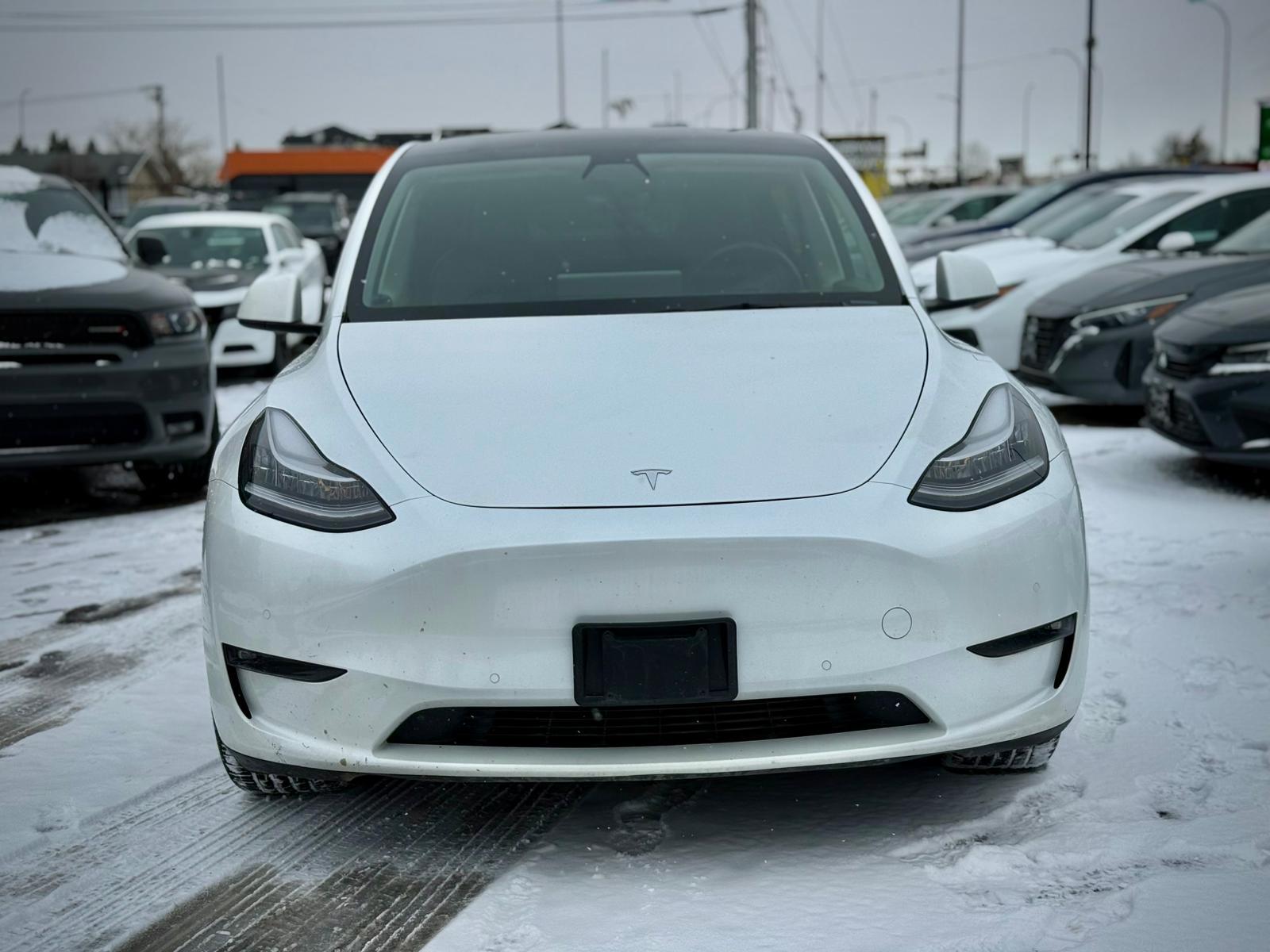 2021 Tesla Model Y — view 2