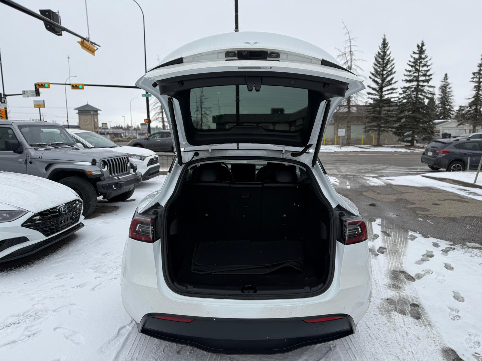 2021 Tesla Model Y — view 6