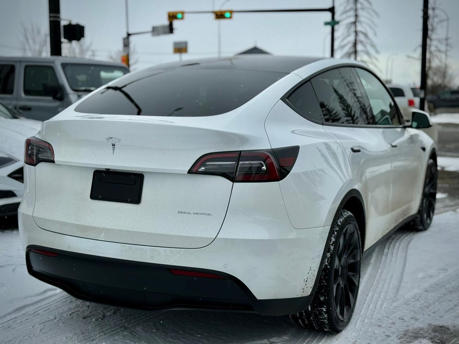 2021 Tesla Model Y — view 4