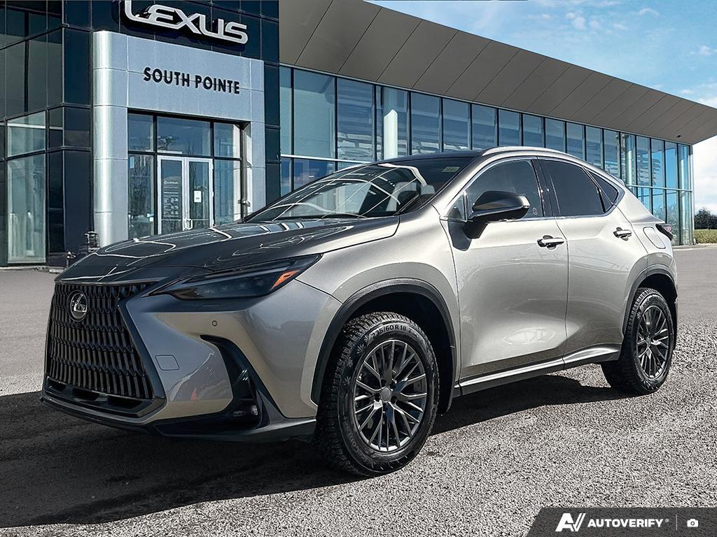 2024 Lexus NX