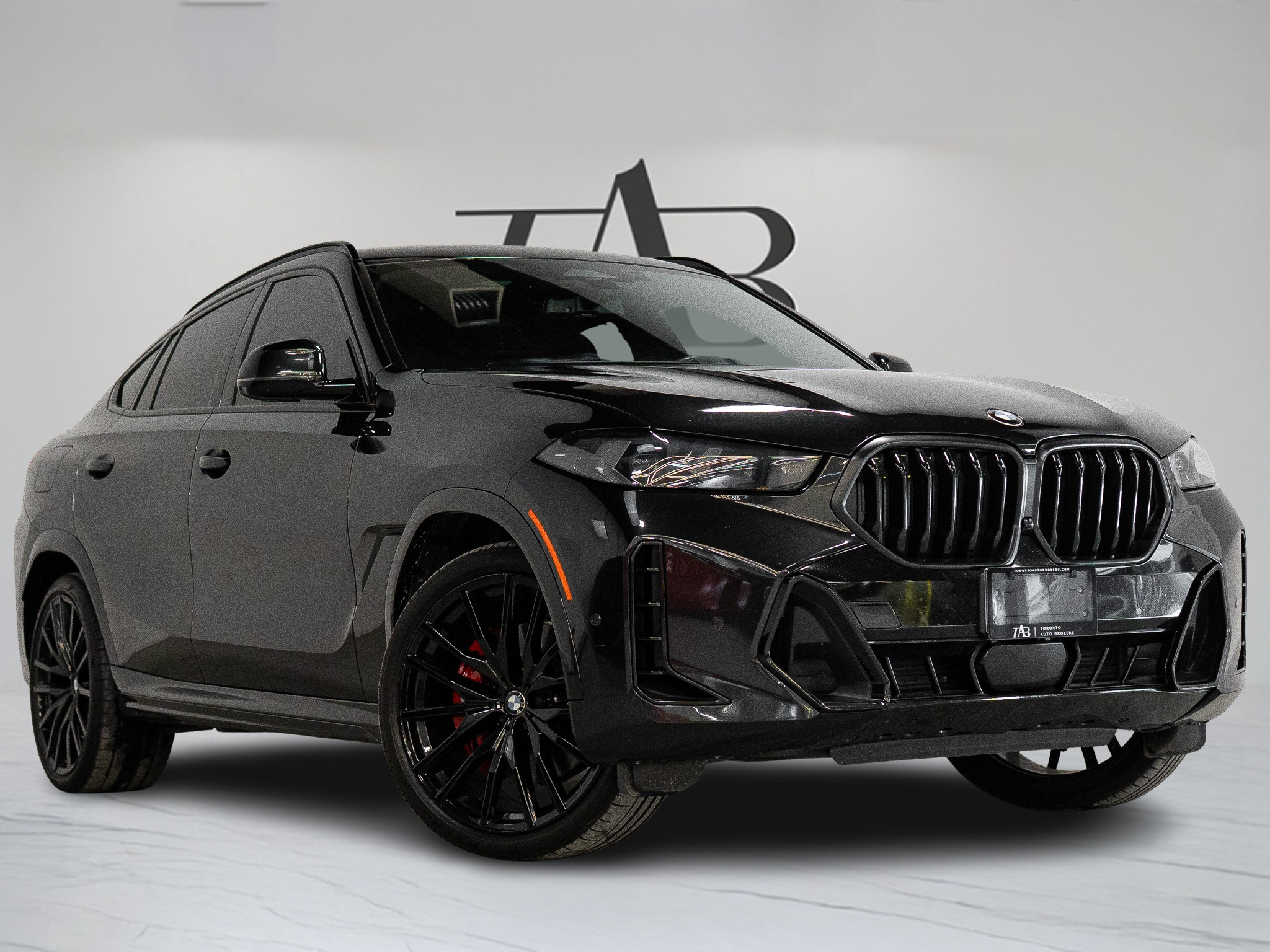 2025 BMW X6