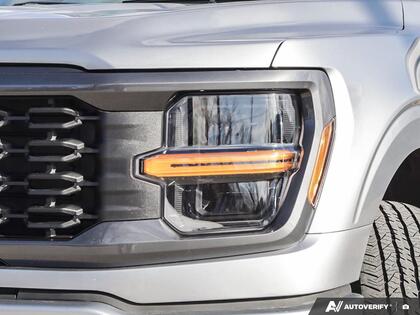 used 2024 Ford F-150 car, priced at $49,500