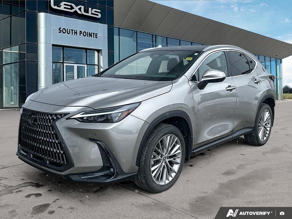 2024 Lexus NX