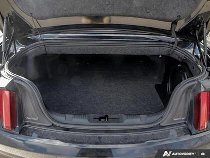 used 2017 Ford Mustang car, priced at $34,890