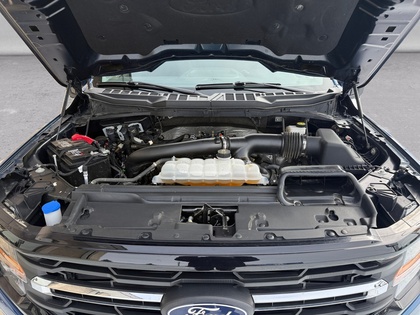 used 2024 Ford F-150 car, priced at $50,861