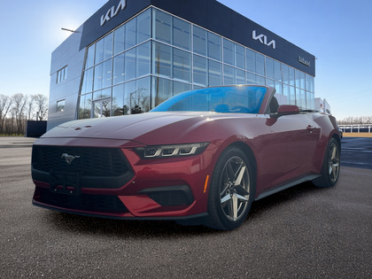 used 2024 Ford Mustang car, priced at $41,999