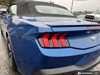 used 2024 Ford Mustang car, priced at $36,800