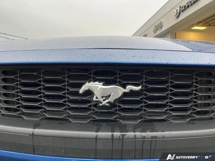 used 2024 Ford Mustang car, priced at $36,800