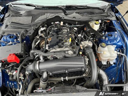 used 2024 Ford Mustang car, priced at $36,800