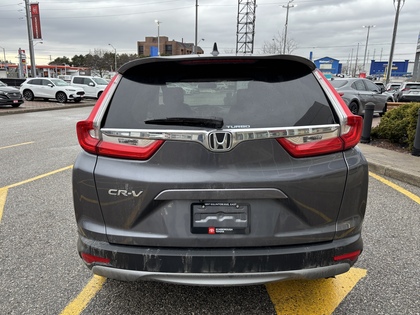 used 2019 Honda CR-V car, priced at $17,995