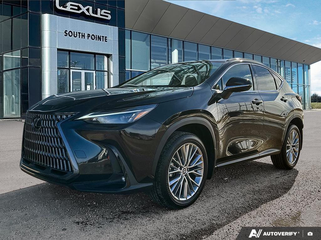 2024 Lexus NX