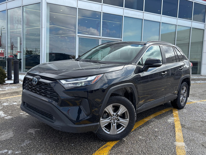 used 2022 Toyota RAV4 car, priced at $36,487