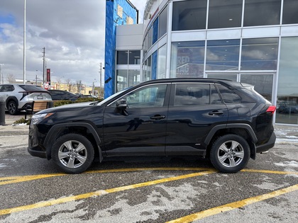 used 2022 Toyota RAV4 car, priced at $36,487
