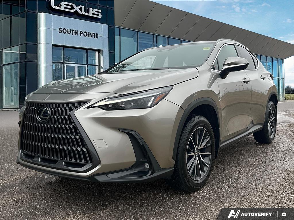 2024 Lexus NX