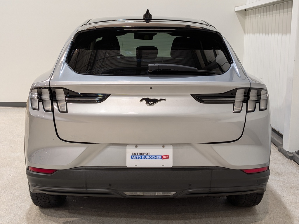 Ford Mustang Mach-E 2021