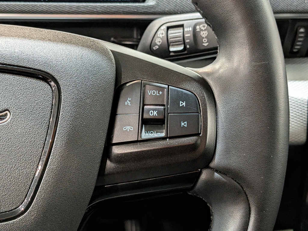 Ford Mustang Mach-E 2021