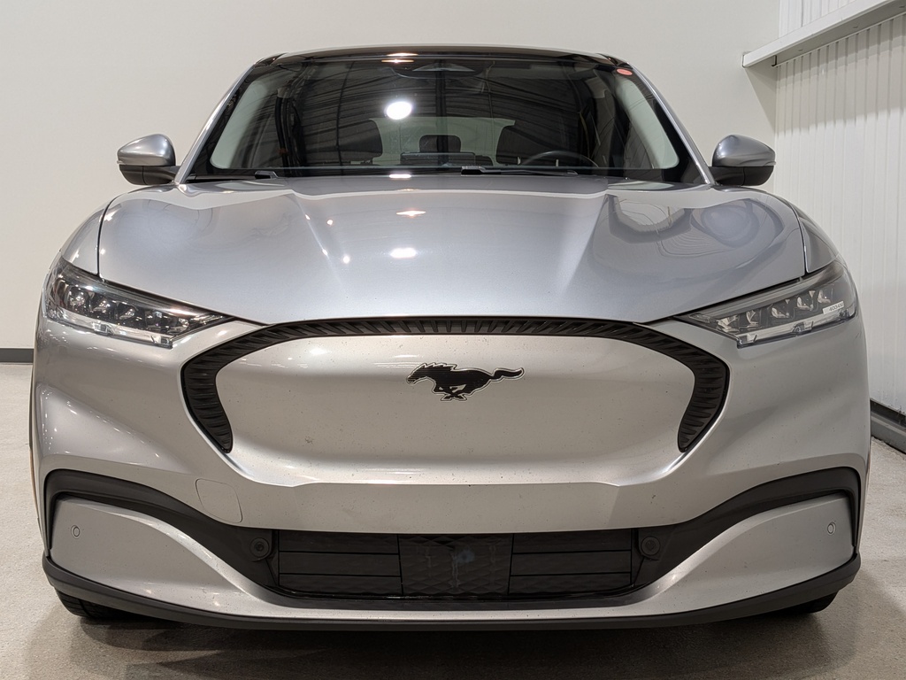 Ford Mustang Mach-E 2021