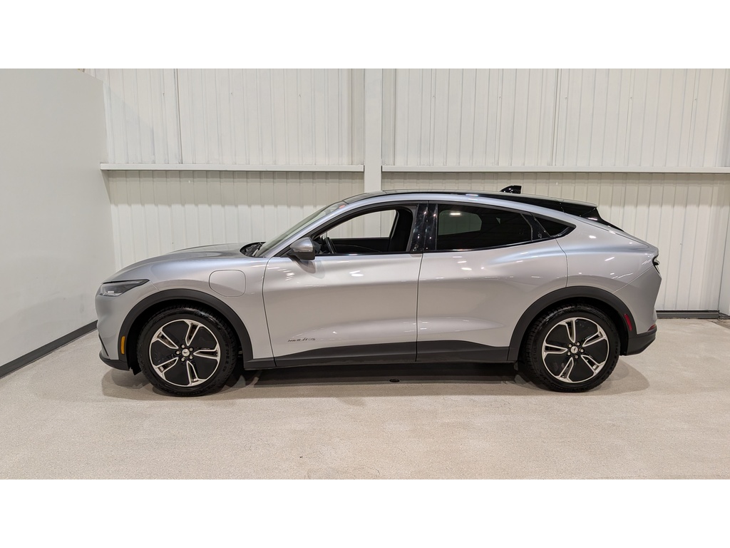 Ford Mustang Mach-E 2021