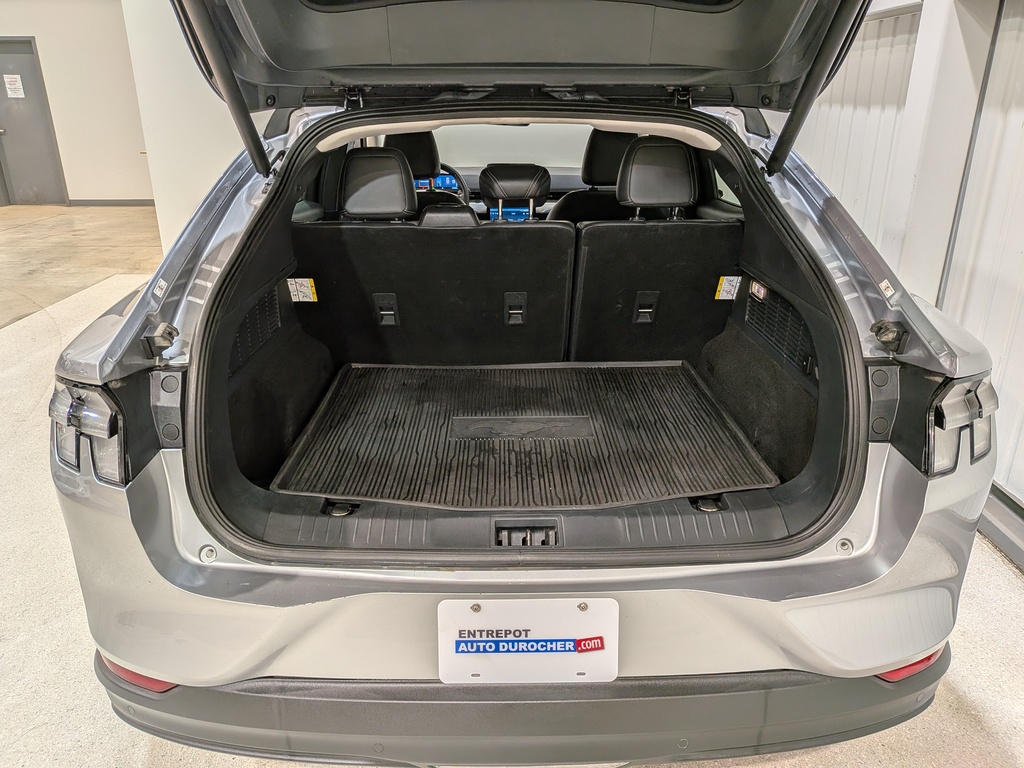 Ford Mustang Mach-E 2021