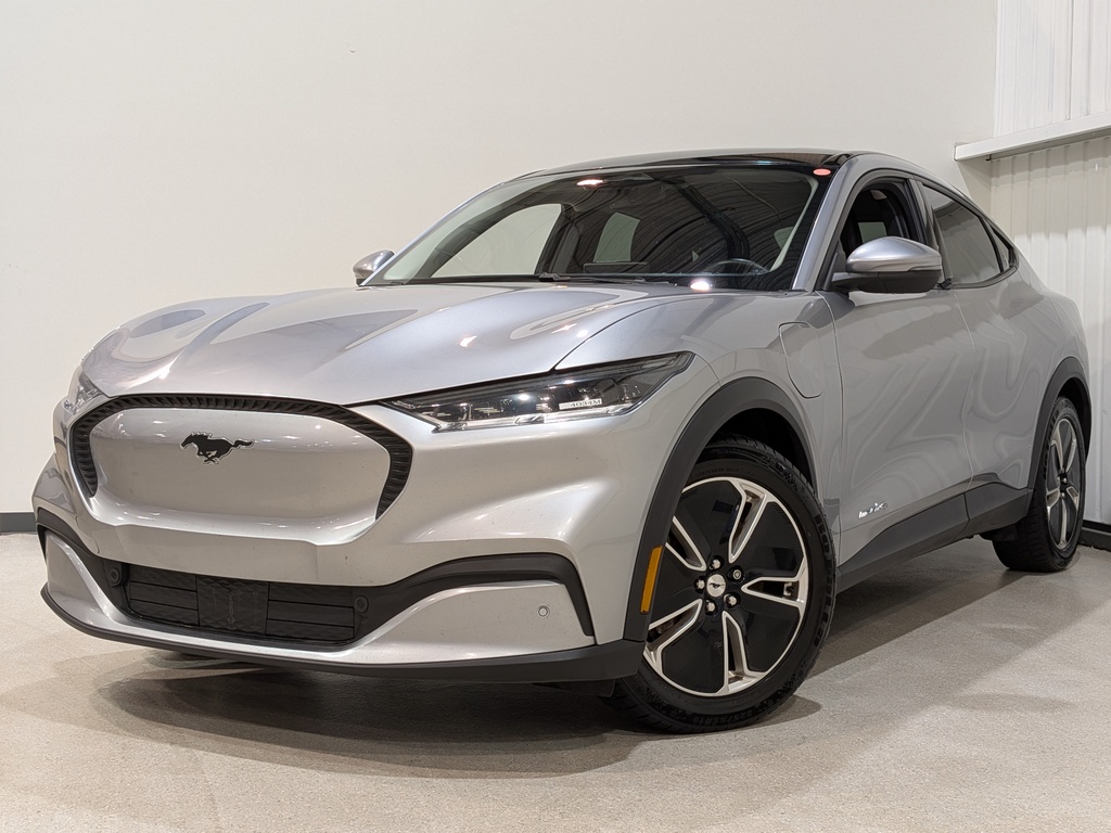 Ford Mustang Mach-E 2021