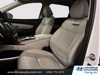 used 2024 Hyundai Tucson Hybrid car, priced at $37,999