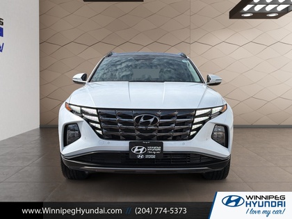used 2024 Hyundai Tucson Hybrid car, priced at $37,999