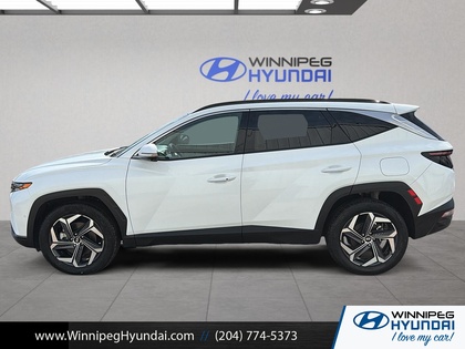 used 2024 Hyundai Tucson Hybrid car, priced at $37,999