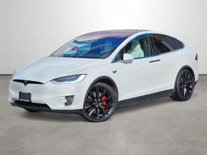 2019 Tesla Model X