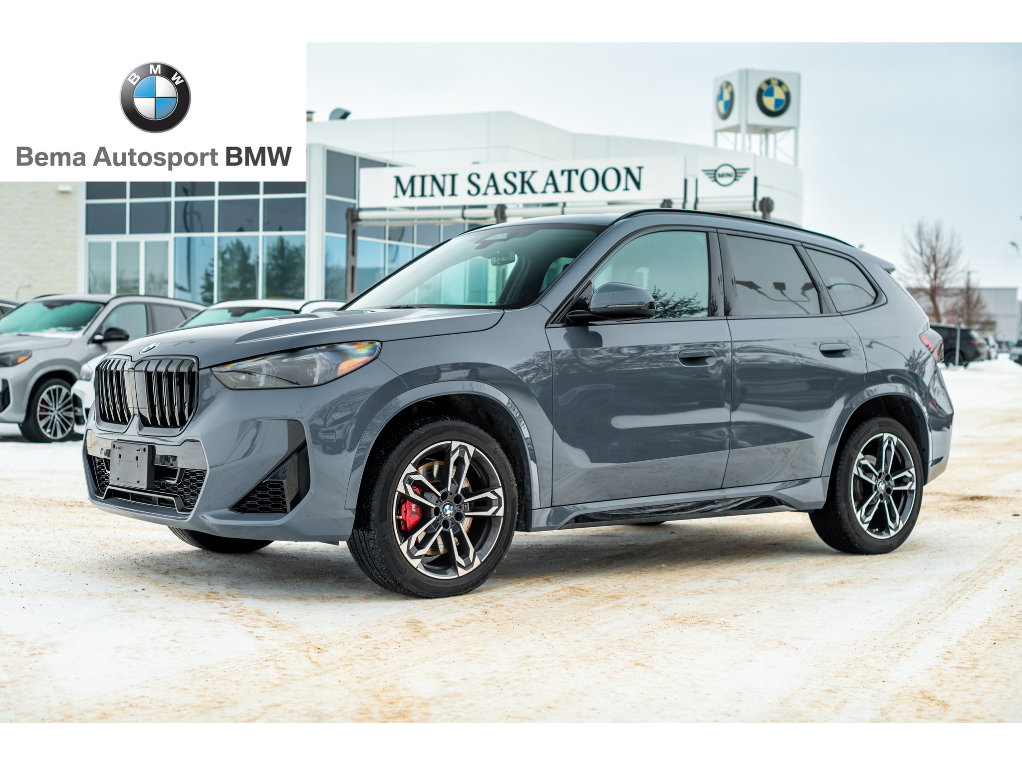 2025 BMW X1