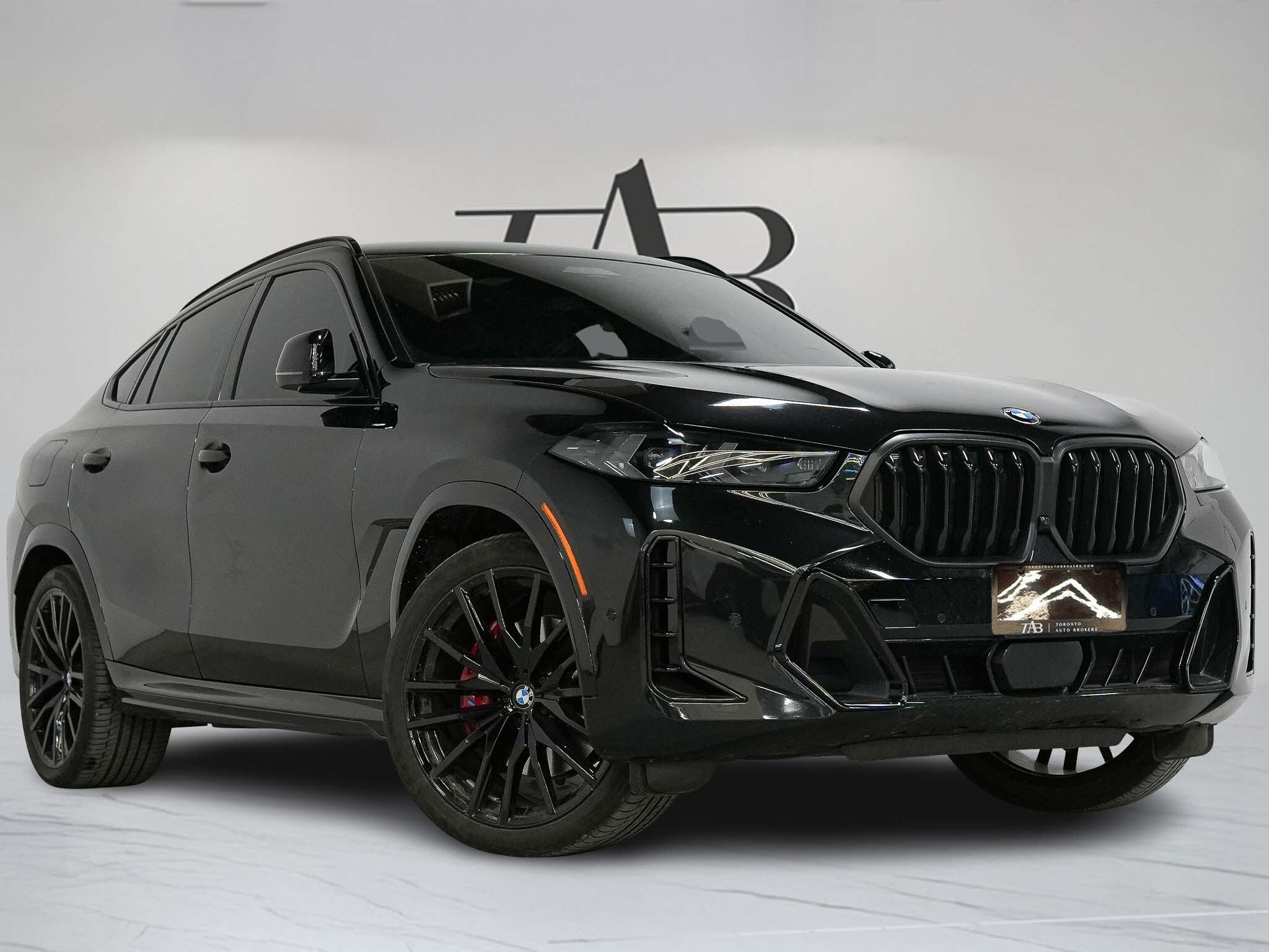 2024 BMW X6