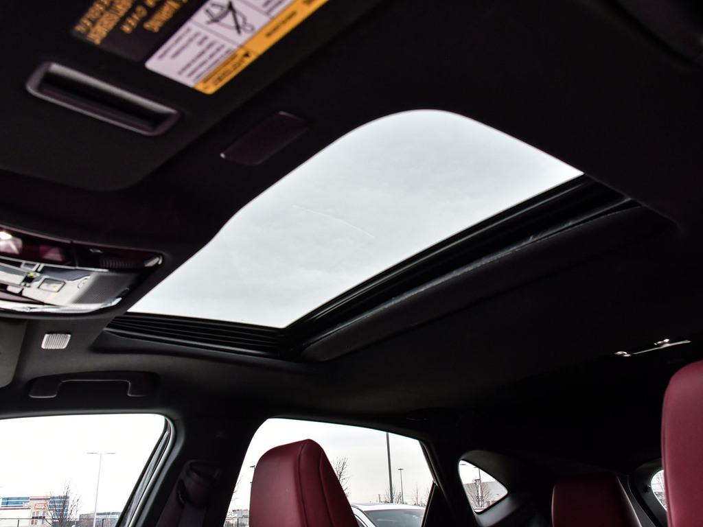 2025 Lexus NX 350 NX 350, 多伦多, 全款车