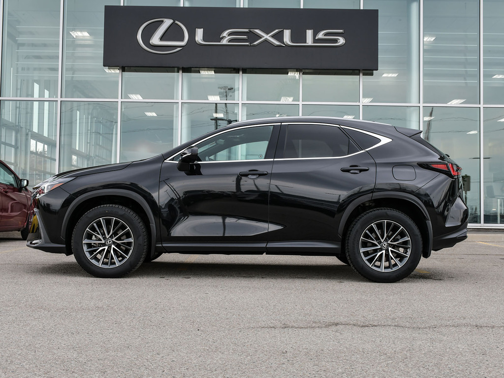 2025 Lexus NX 350 NX 350, 多伦多, 全款车