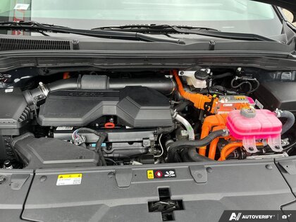 used 2025 Kia Carnival Hybrid car, priced at $52,824