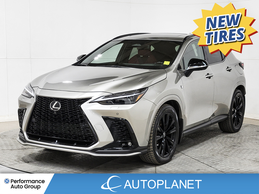 2023 Lexus NX