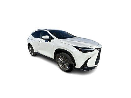 used 2022 Lexus NX car, priced at $43,999
