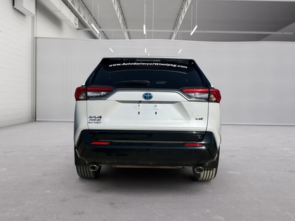 used 2023 Toyota RAV4 Prime car, priced at $48,629