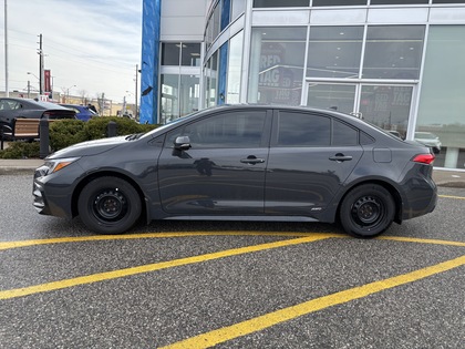 used 2024 Toyota Corolla car, priced at $32,995