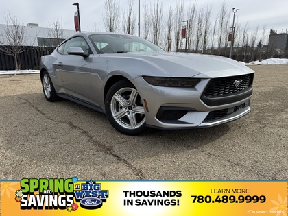 2026 Ford Mustang EcoBoost Fastback RWD