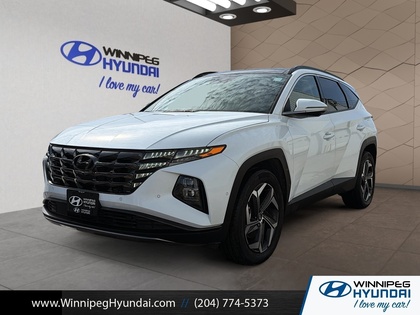 used 2024 Hyundai Tucson Hybrid car, priced at $37,999