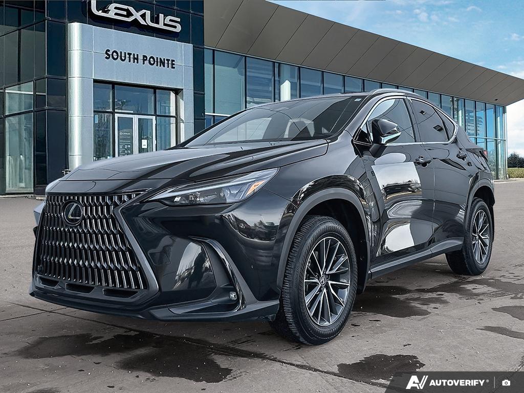 2024 Lexus NX