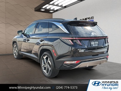 used 2022 Hyundai Tucson Hybrid car, priced at $33,999