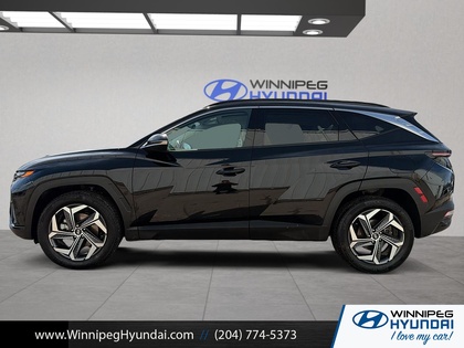used 2022 Hyundai Tucson Hybrid car, priced at $33,999