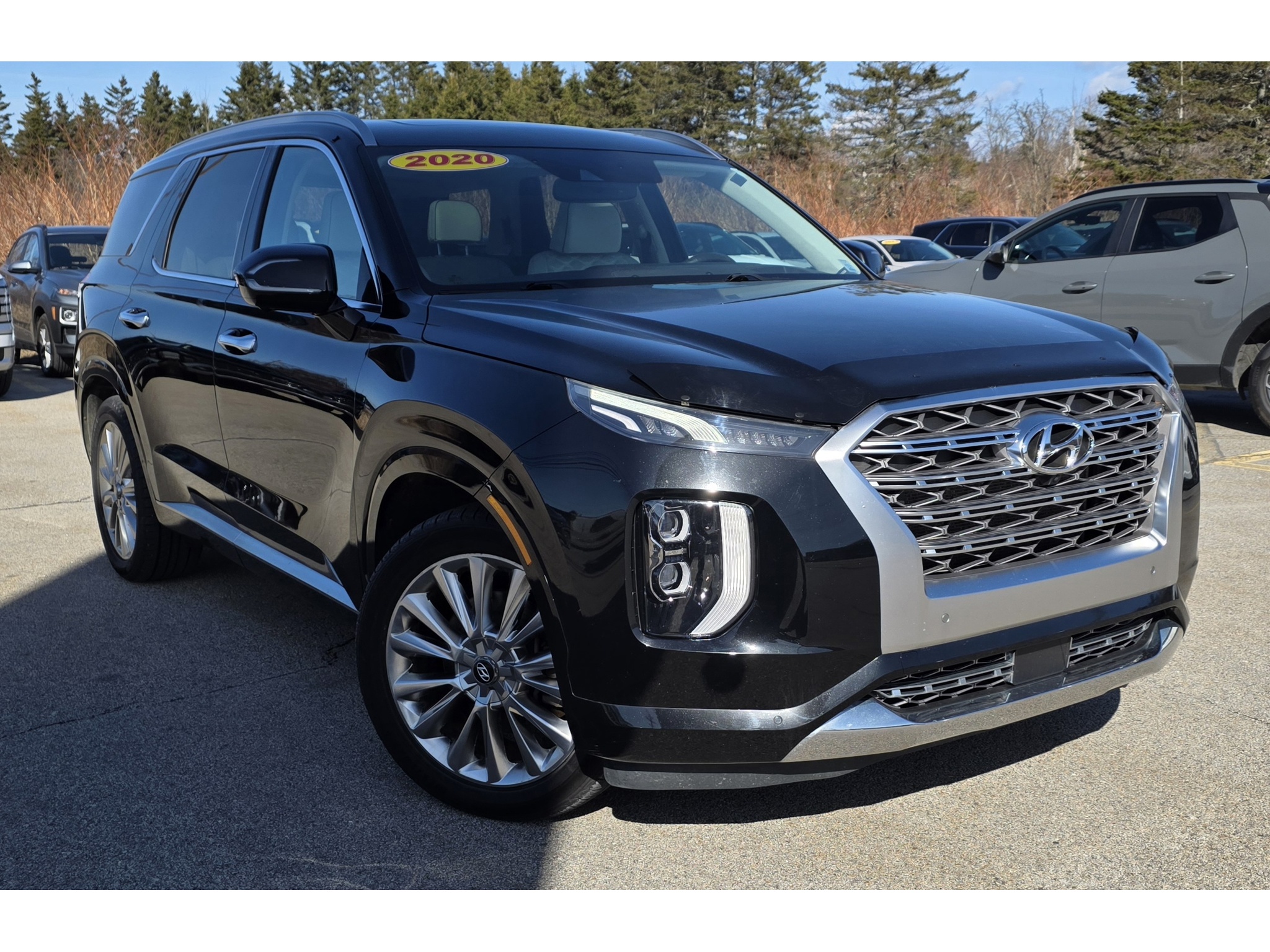 2020 Hyundai Palisade