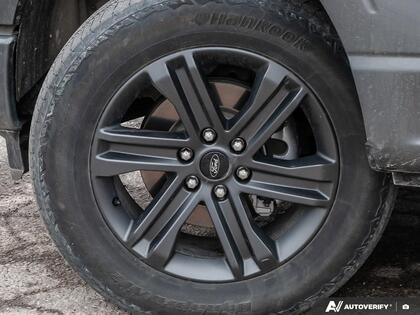 used 2023 Ford F-150 car, priced at $49,500