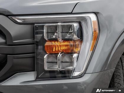 used 2023 Ford F-150 car, priced at $49,500