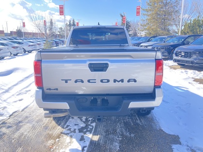 used 2024 Toyota Tacoma car