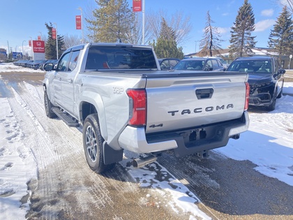 used 2024 Toyota Tacoma car