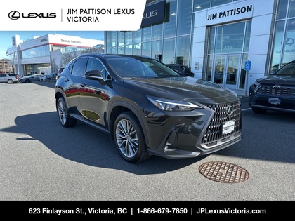 2022 Lexus NX Hybrid 350h Premium AWD