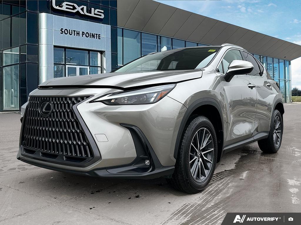 2024 Lexus NX